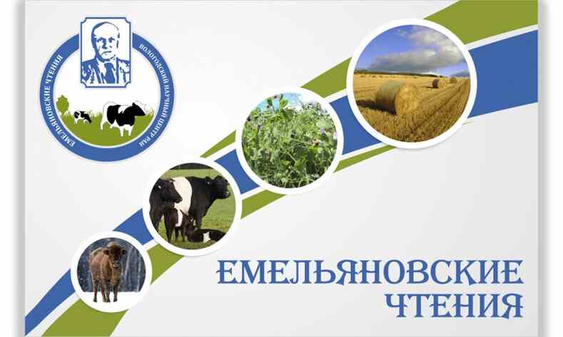 IX Емельяновские чтения
